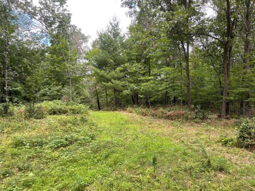 Lot 7 180th Avenue, Mondovi, WI 54755
