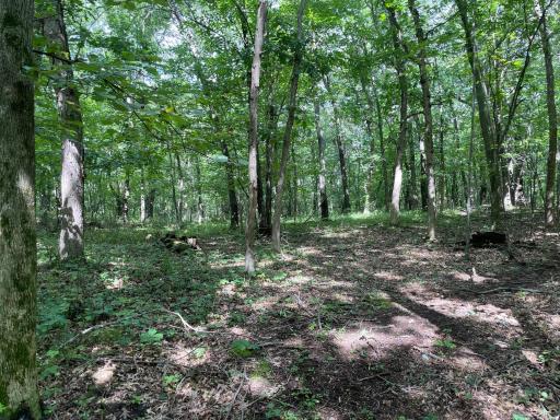 Lot 7 180th Avenue, Mondovi, WI 54755