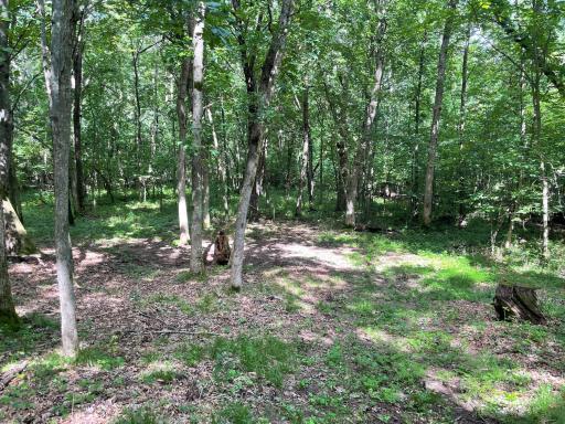Lot 7 180th Avenue, Mondovi, WI 54755