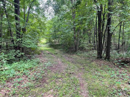 Lot 7 180th Avenue, Mondovi, WI 54755