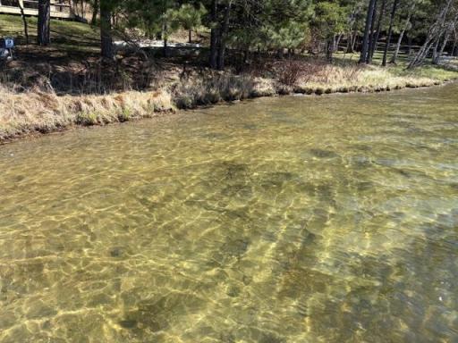 34477 Gasink Road, Pequot Lakes, MN 56472