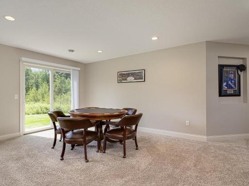 180 173rd Ln NE Ham Lake MN 55304 USA-027-034-Lower Level-MLS_Size.jpg