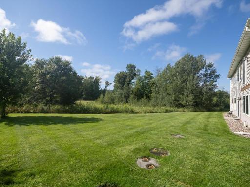 180 173rd Ln NE Ham Lake MN 55304 USA-004-032-Back Yard-MLS_Size.jpg