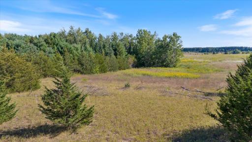 TBD Stark Lane Road, Harris, MN 55032