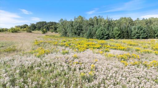 TBD Stark Lane Road, Harris, MN 55032