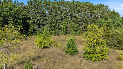 TBD Stark Lane Road, Harris, MN 55032