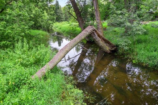 Enjoy exploring the creek in your backyard