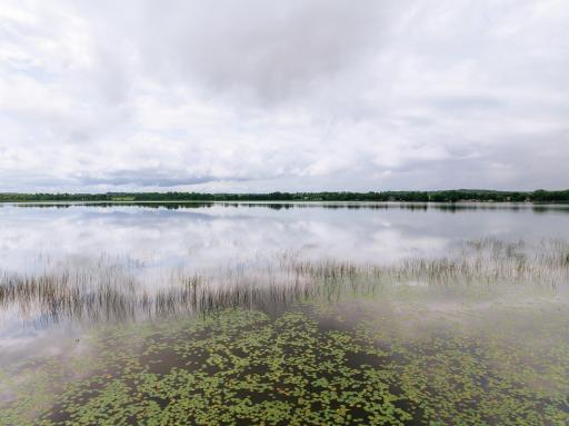 Clear the lakeshore and there is a sandy bottom and would make a great swimming spot or boating.