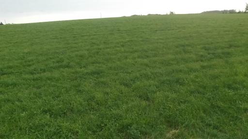 TBD 201st Avenue, West Concord, MN 55985