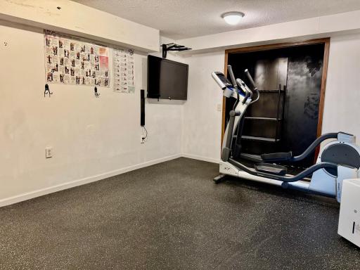Lower level features a spacious flex room (Gym, Den, Family Room) with newer vinyl plank flooring.