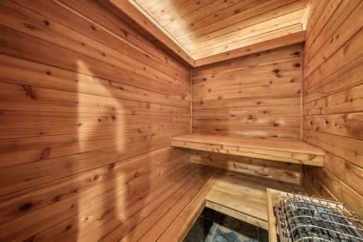 Midwest winters and this home sauna go together like hot chocolate and marshmallows! Perfectly located in the exercise room (not pictured) for after work-out detox!