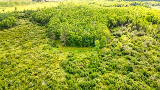 DJI_0464_hdr.jpg