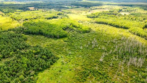 DJI_0459_hdr.jpg