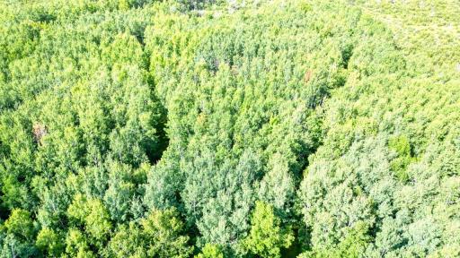 DJI_0509_hdr.jpg
