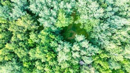 DJI_0514_hdr.jpg