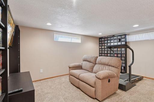 Lower Level Family Room w/SW Exposure Offers an Abundance of Natural Lighting!