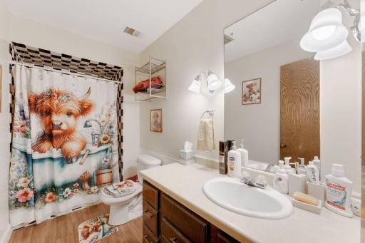 Lower Level 3/4 Bathroom
