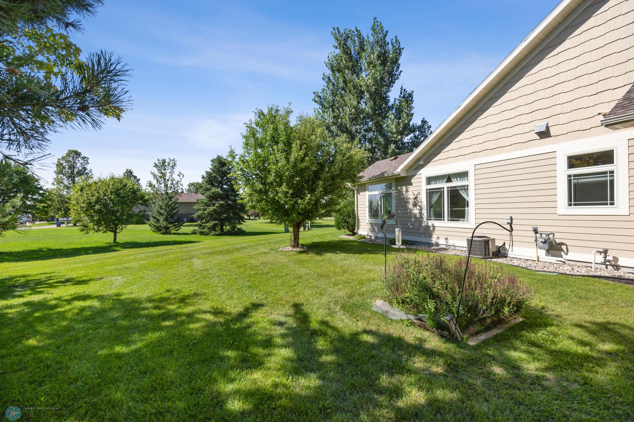 BACKYARD 3.jpg