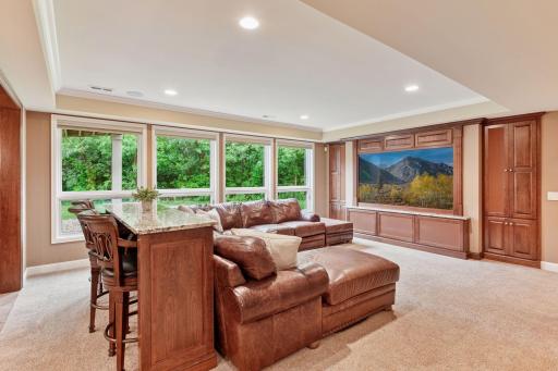 Walk out lower level Entertainig watch games on island or couch