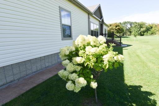 Photo for 39949 Sunset Shores Road SE, Erskine, MN 56535 - Listing #6776437 39949 Sunset Shores Road SE, Erskine, MN 56535
