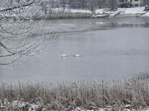 Photo for 39949 Sunset Shores Road SE, Erskine, MN 56535 - Listing #6776437 39949 Sunset Shores Road SE, Erskine, MN 56535
