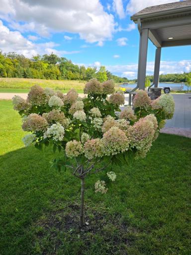 Photo for 39949 Sunset Shores Road SE, Erskine, MN 56535 - Listing #6776437 39949 Sunset Shores Road SE, Erskine, MN 56535
