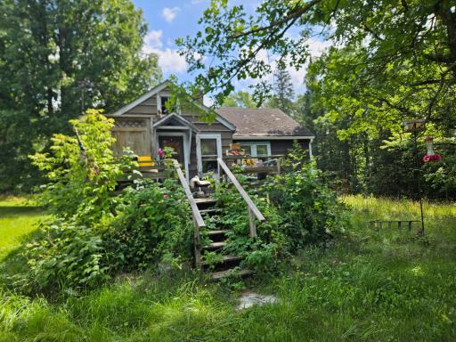 Front of house. Deck is stable. Overgrowth will be cut back by conservator.