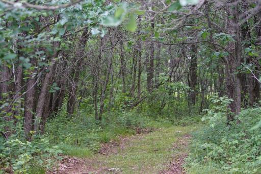 Lot 77 Airport Road, Breezy Point, MN 56472