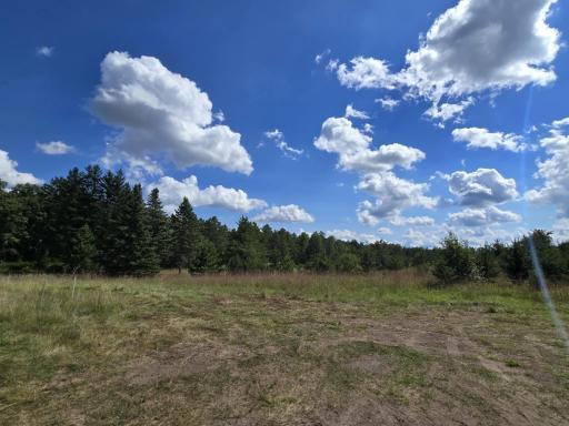 Tract D State Highway 84 SW, Pine River, MN 56474