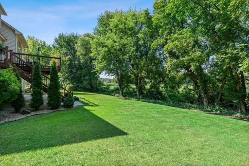 Outdoors, mature trees and wetland views frame a private backyard.