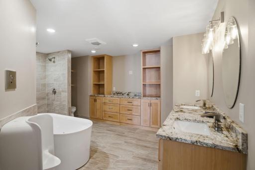 Lower Level Primary Suite Bath