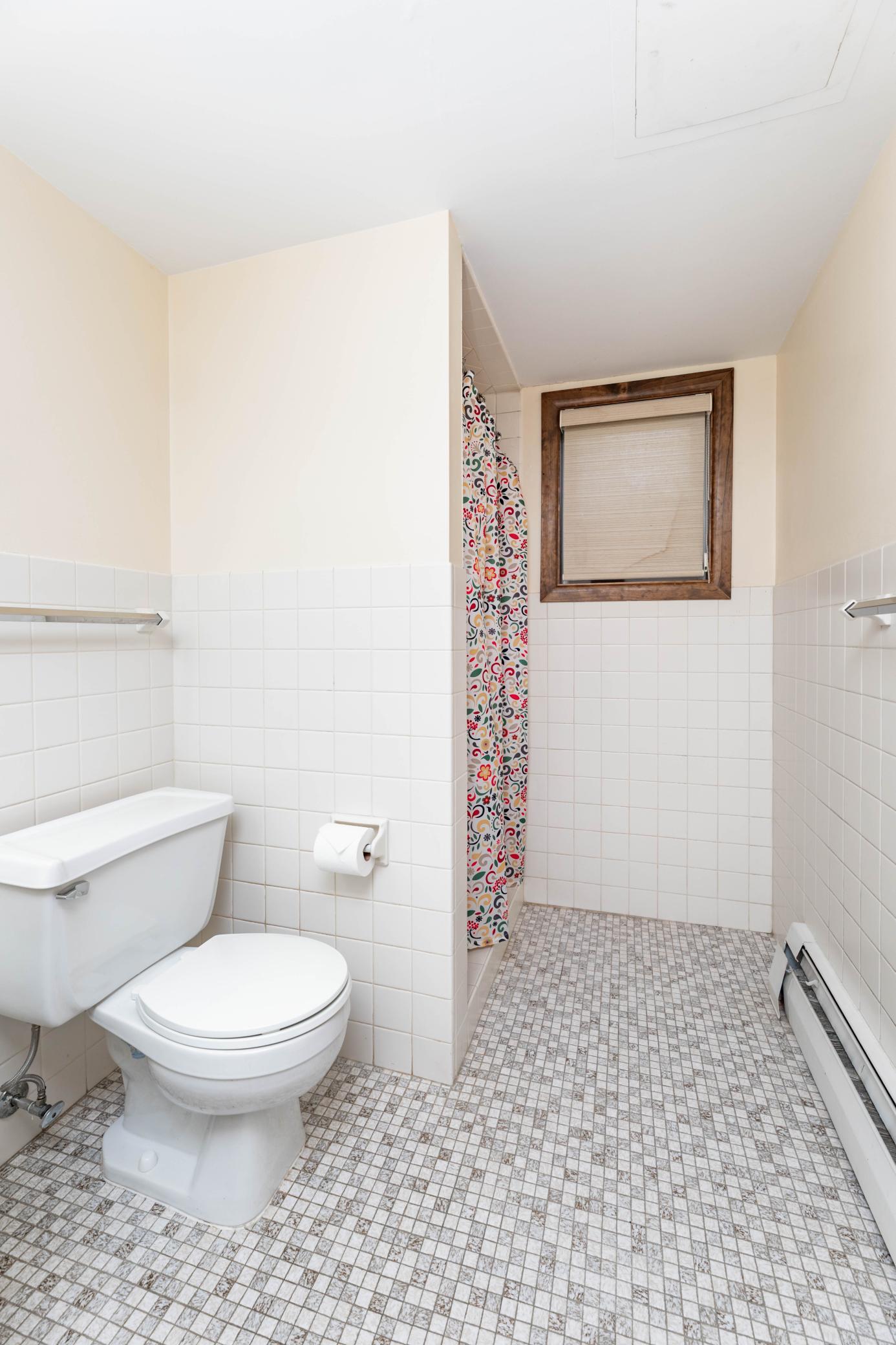 Lower level bathroom