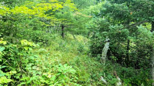 00 Old Road 14, Rice Lake, WI 54868