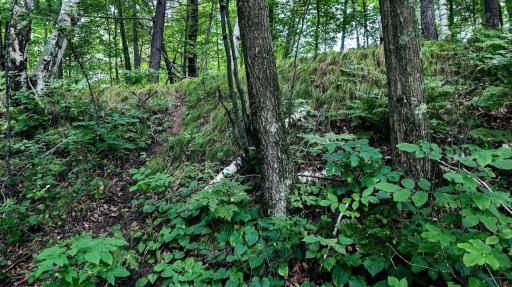 00 Old Road 14, Rice Lake, WI 54868