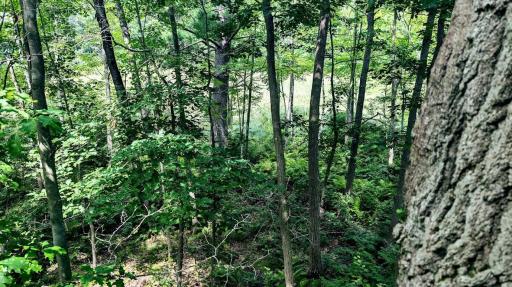00 Old Road 14, Rice Lake, WI 54868