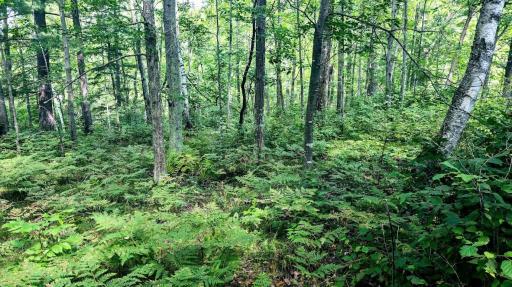 00 Old Road 14, Rice Lake, WI 54868