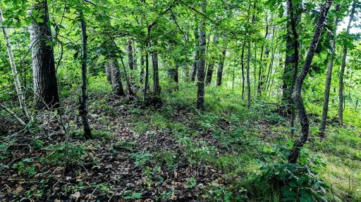 00 Old Road 14, Rice Lake, WI 54868