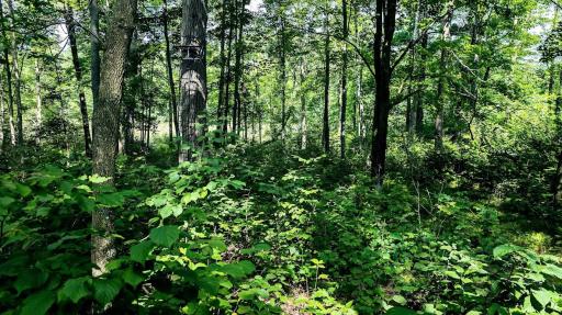 00 Old Road 14, Rice Lake, WI 54868