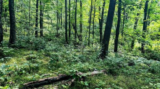 00 Old Road 14, Rice Lake, WI 54868