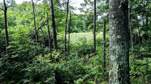 00 Old Road 14, Rice Lake, WI 54868