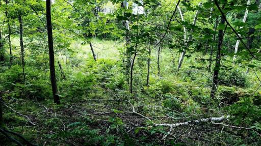 00 Old Road 14, Rice Lake, WI 54868