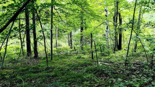 00 Old Road 14, Rice Lake, WI 54868