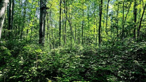 00 Old Road 14, Rice Lake, WI 54868