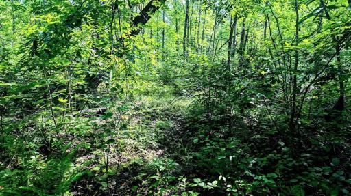 00 Old Road 14, Rice Lake, WI 54868