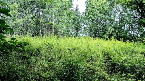 00 Old Road 14, Rice Lake, WI 54868