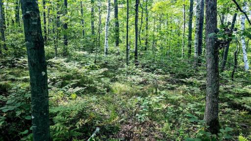 00 Old Road 14, Rice Lake, WI 54868