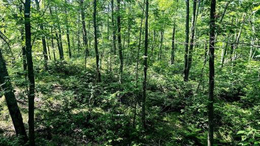 00 Old Road 14, Rice Lake, WI 54868