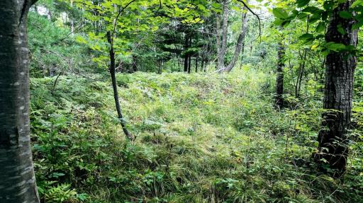 00 Old Road 14, Rice Lake, WI 54868