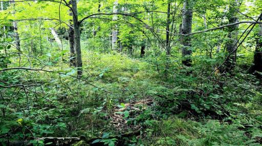 00 Old Road 14, Rice Lake, WI 54868