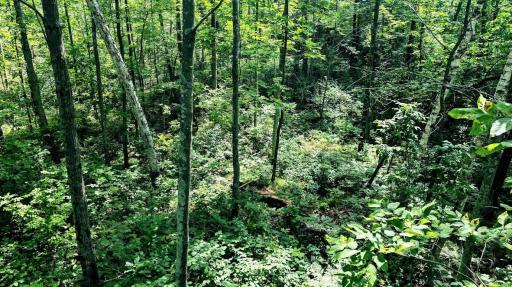 00 Old Road 14, Rice Lake, WI 54868